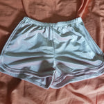 Pink [Velvet] Shorts, L